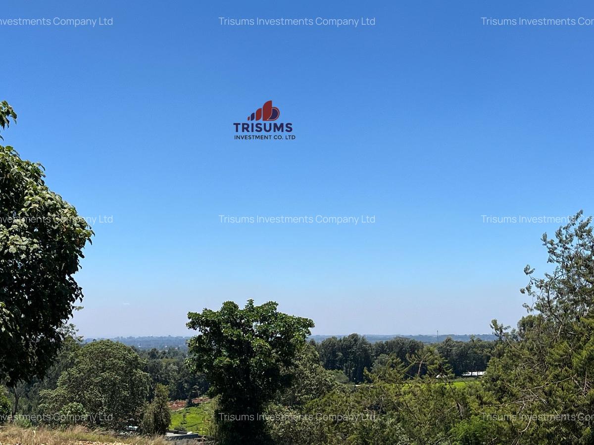 1.5 ac Land in Tigoni - 8