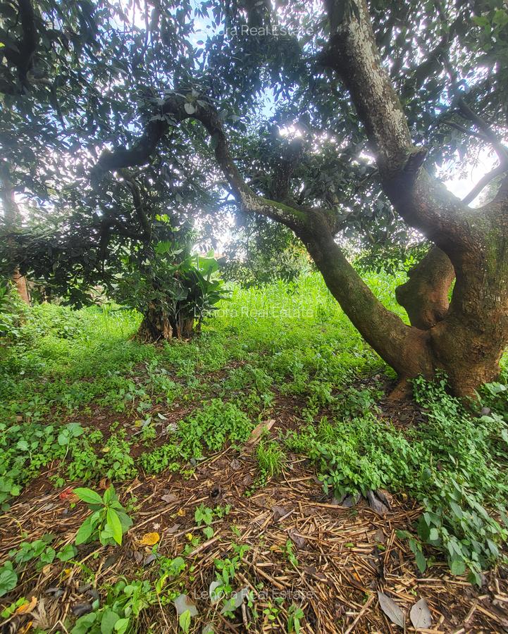 Land in Lower Kabete - 4