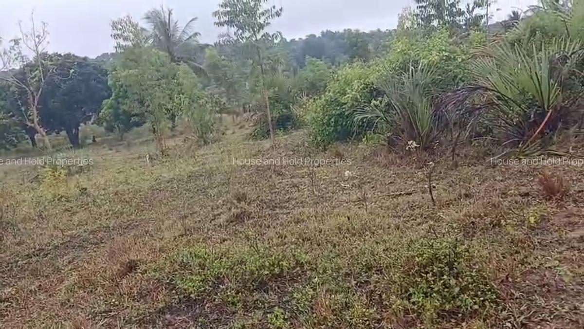 2.8 ha Commercial Land at Tiwi - 17