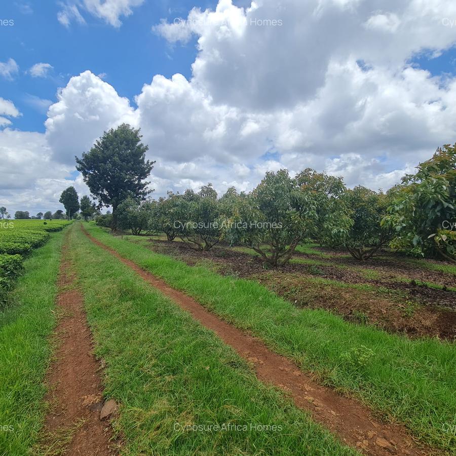 420 ac Land at Kiambu - 7