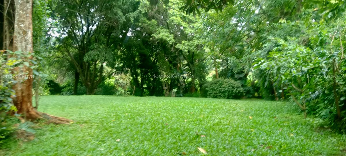 5 Bed House in Gigiri - 8