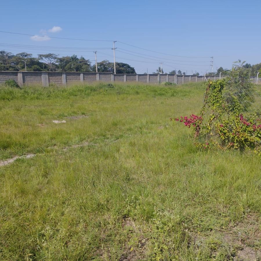 0.2 ac Land in Karen - 1