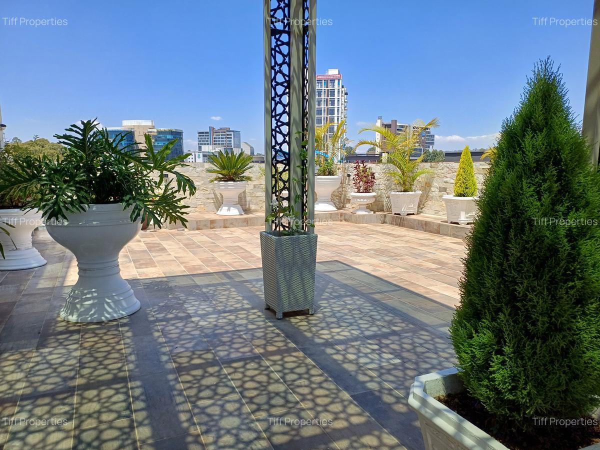 4 Bed Apartment with En Suite in Rosslyn - 18