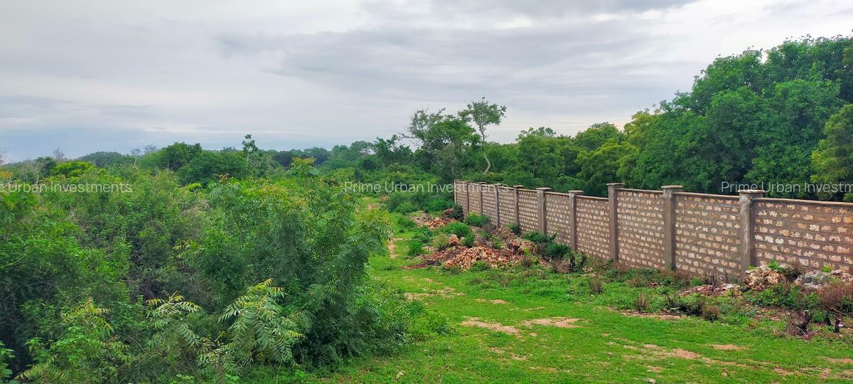 Land in Vipingo - 11