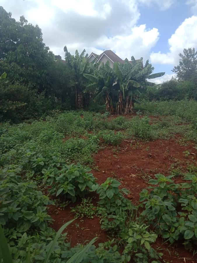 Land in Ruiru - 6