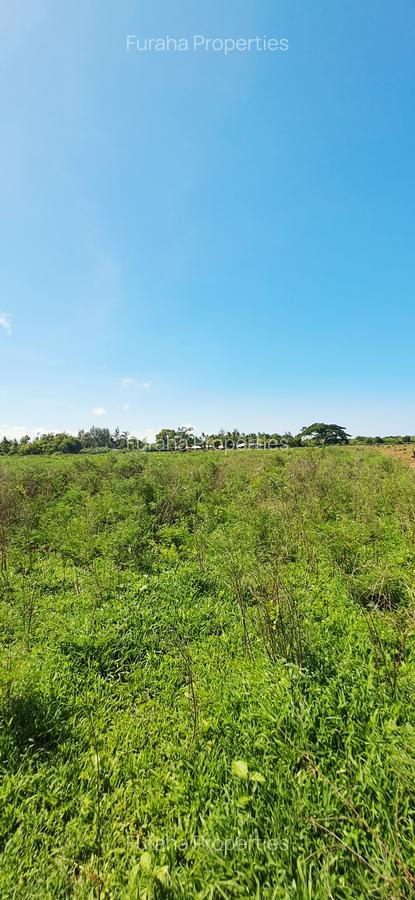 Land at Vipingo - 6