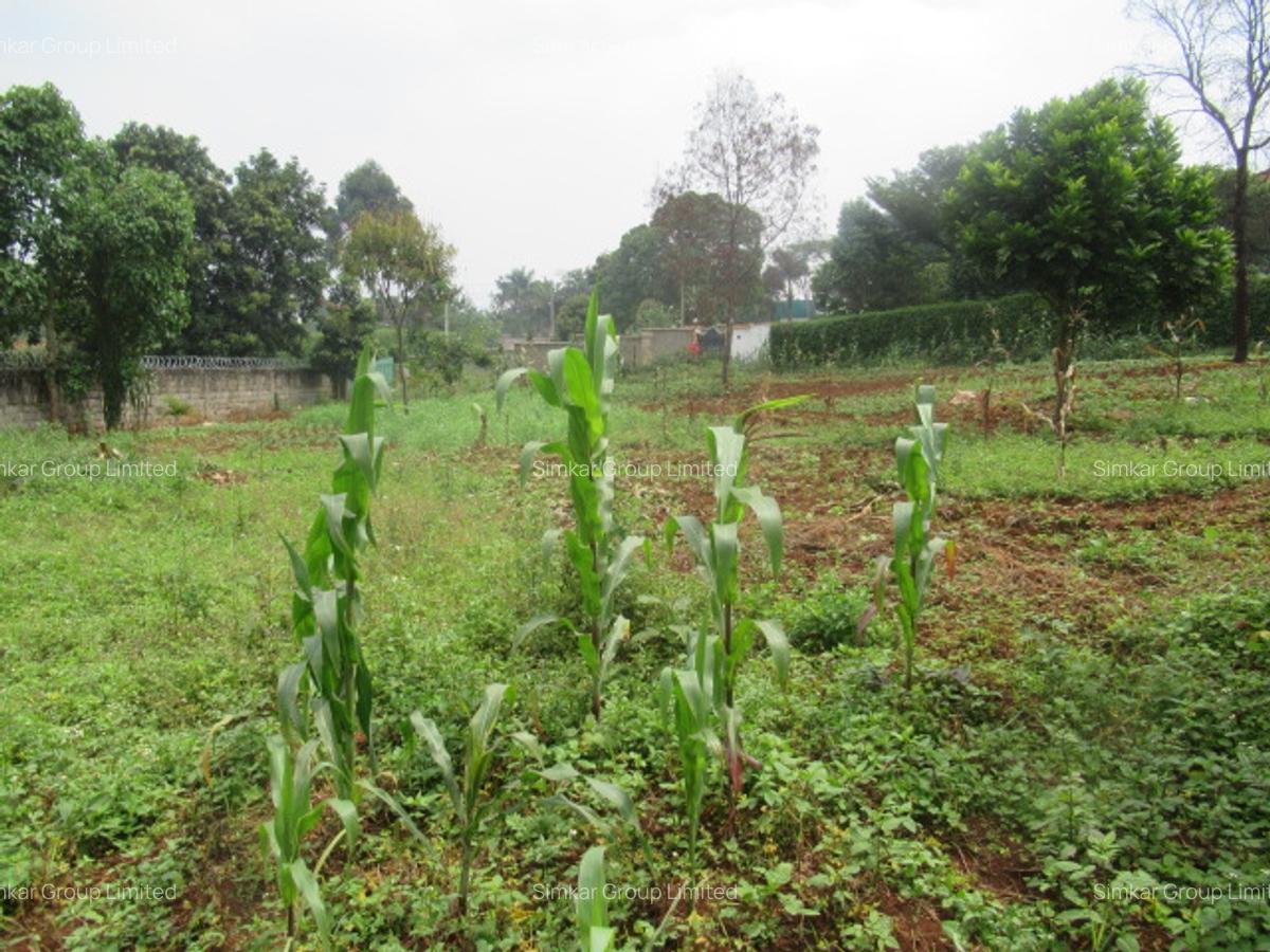 Residential Land at Runda - 4