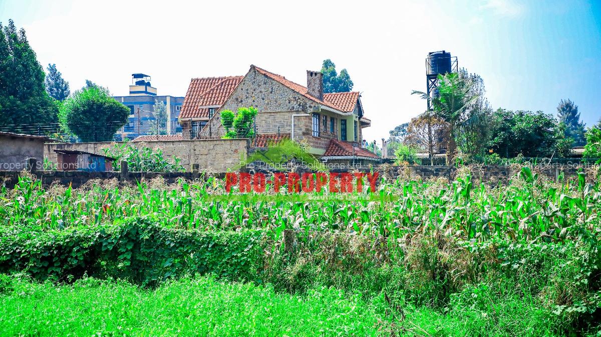 0.05 ha Commercial Land at Sigona - 1