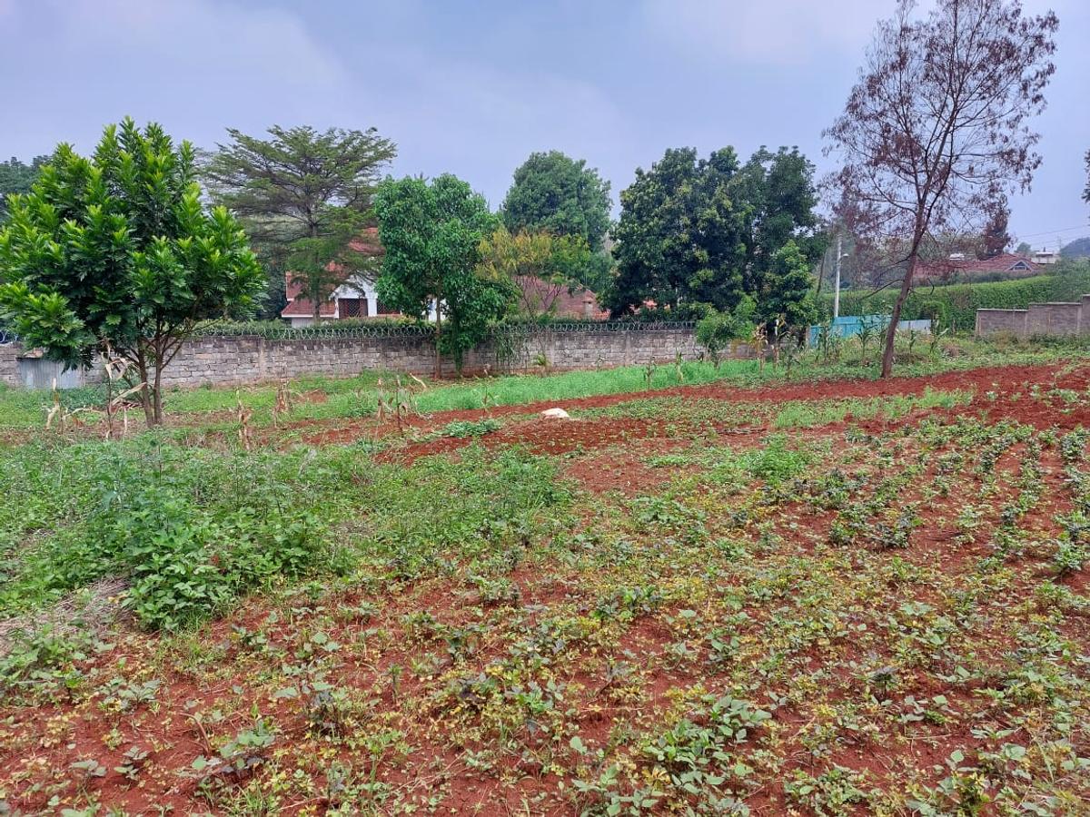 Residential Land at Pan African Insurance Avenue - 5