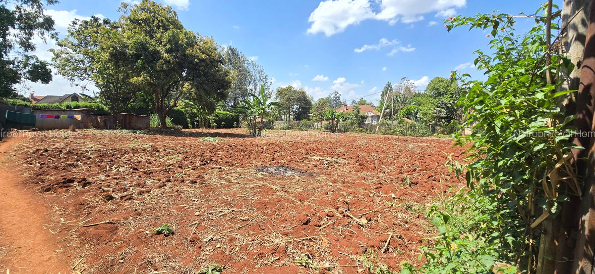 Residential Land at Runda Road - 15