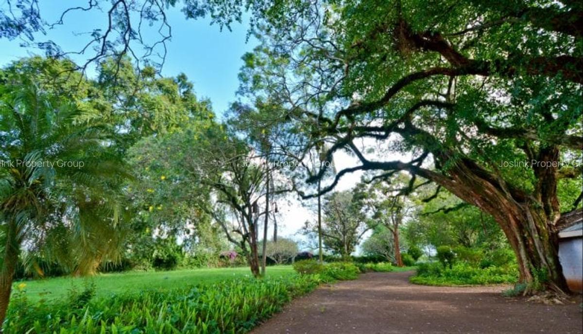 Residential Land in Ruiru - 8
