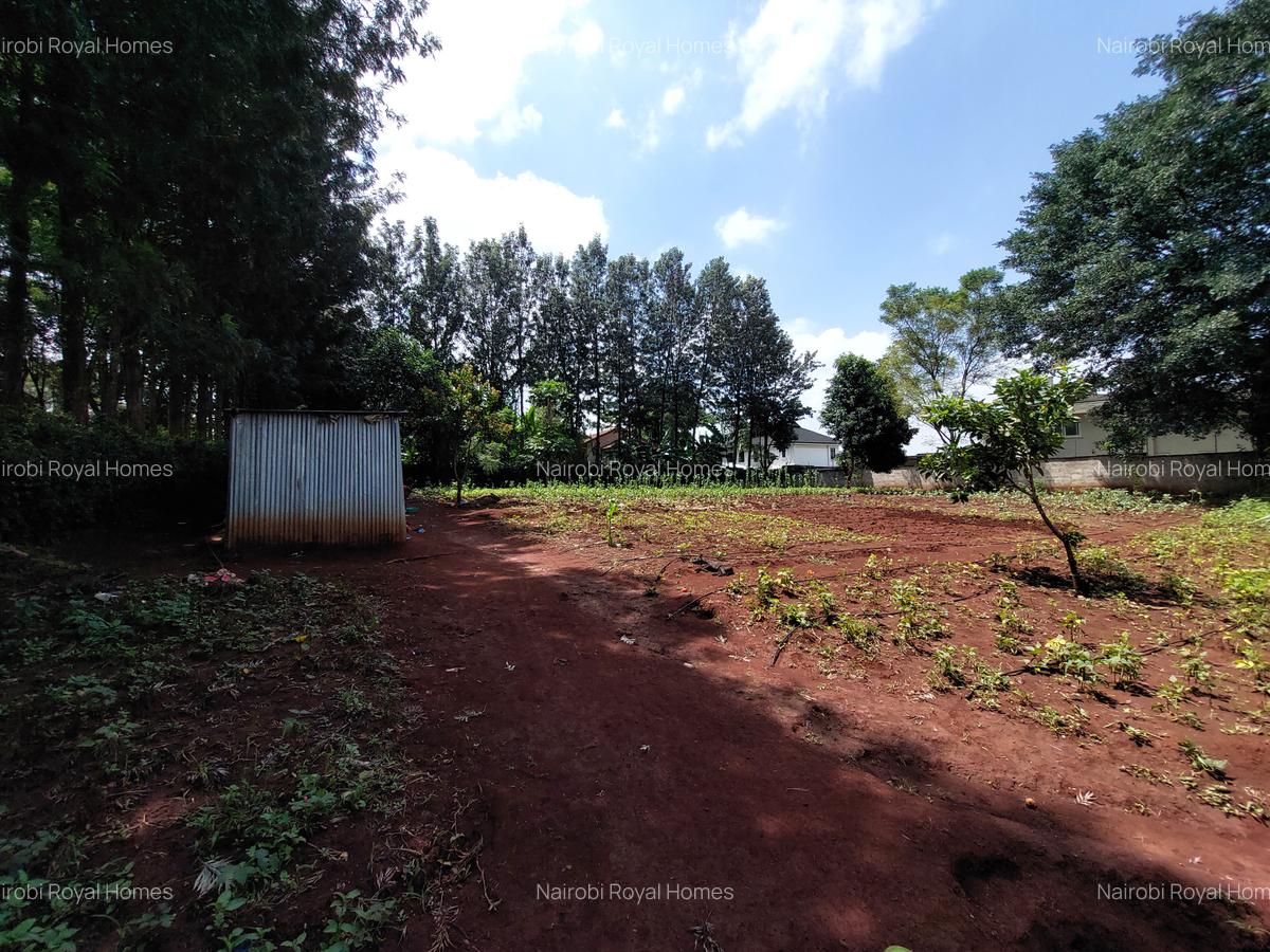 Residential Land at Kirawa Road - 11