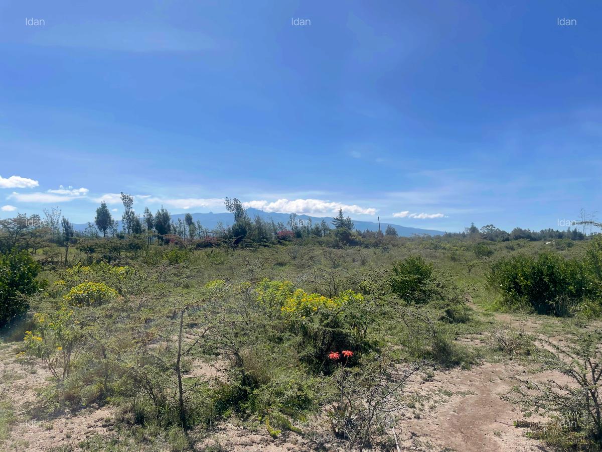 0.5 ac Land in Nanyuki - 8