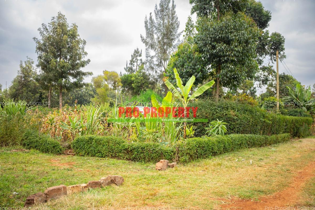 0.05 ha Residential Land in Kikuyu Town - 13