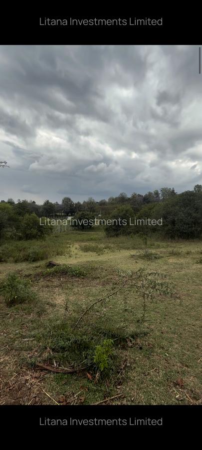 1 ac Land in Karen - 1