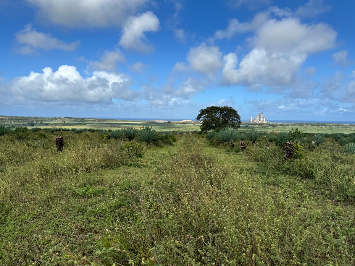 Land in Vipingo - 15