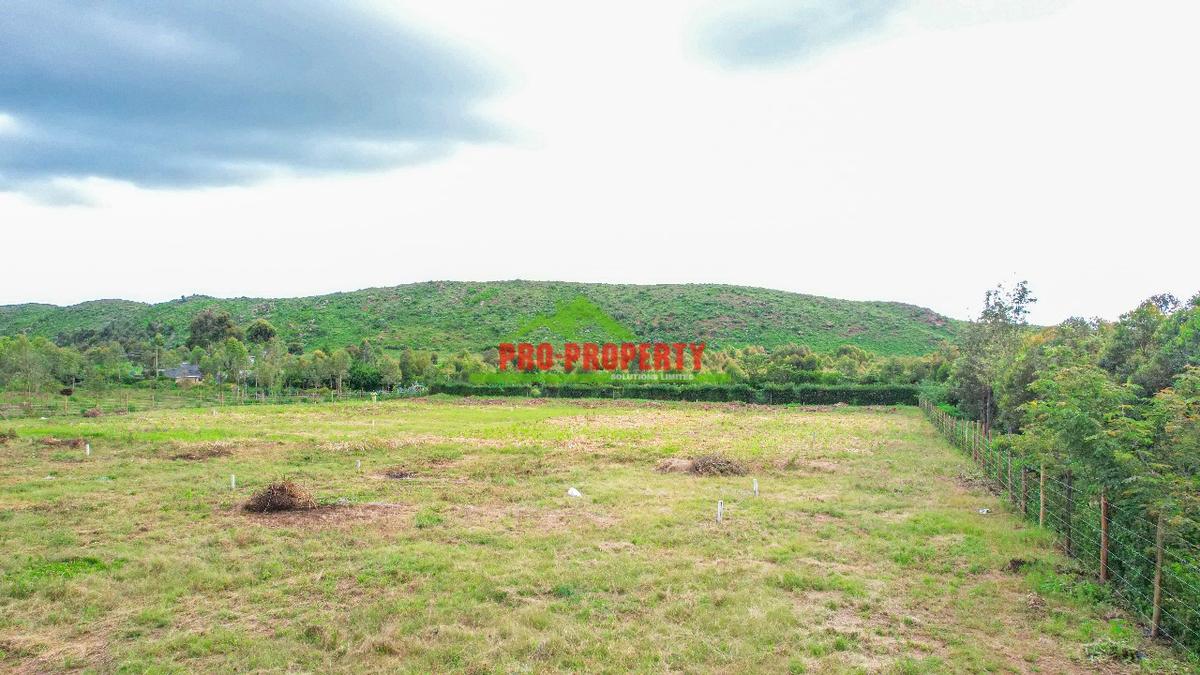 0.05 ha Residential Land at Thigio - 4