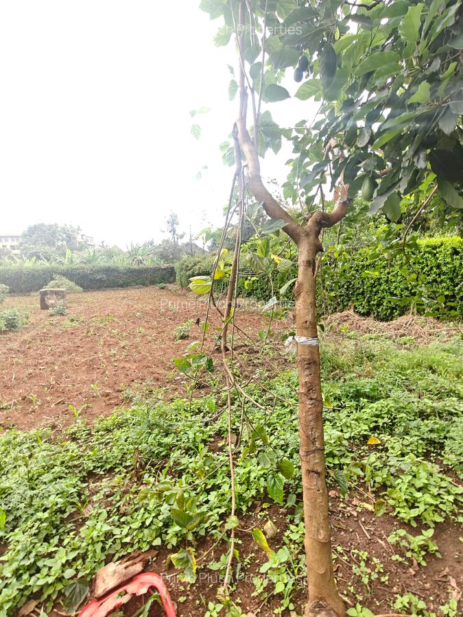 0.5 ac Land in Thome - 2