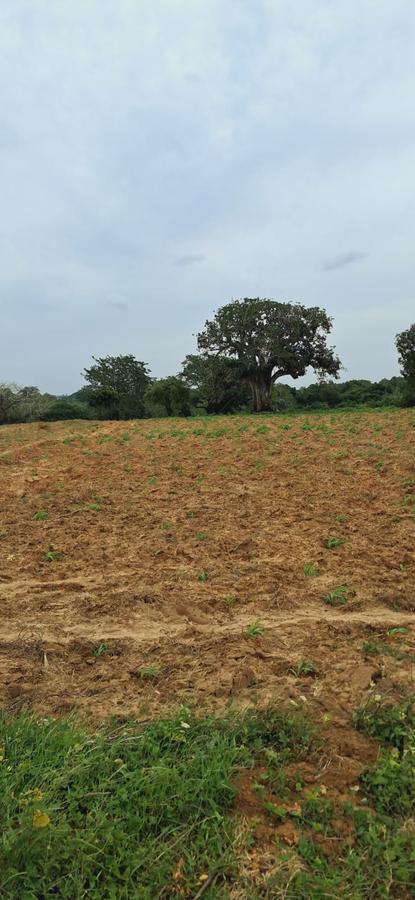 Residential Land in Kilifi - 4