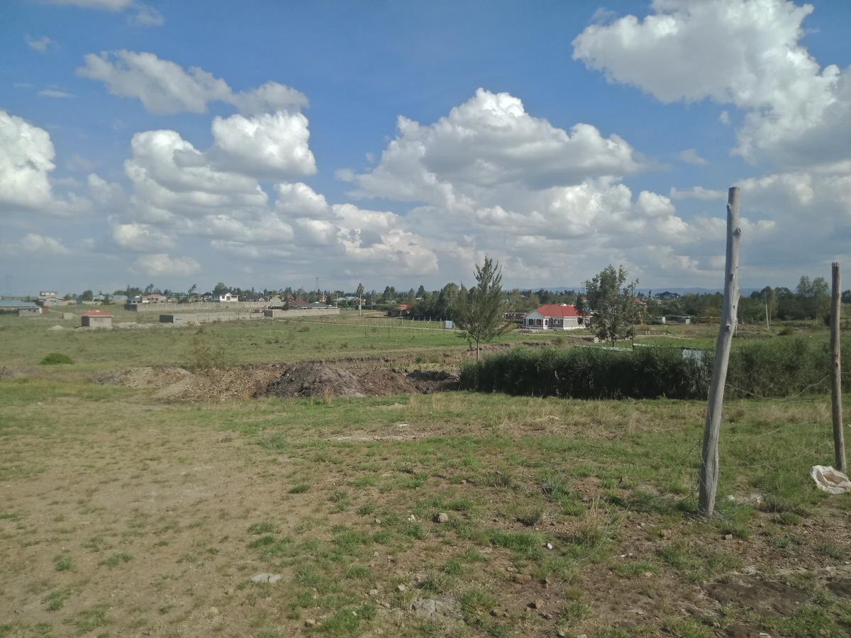 0.125 ac Land in Joska - 2