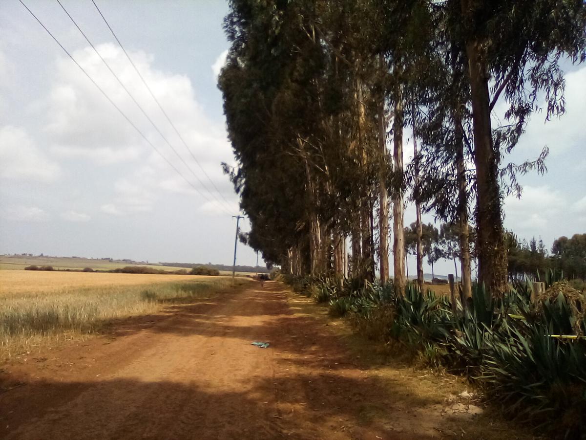 Land at Timau - 3