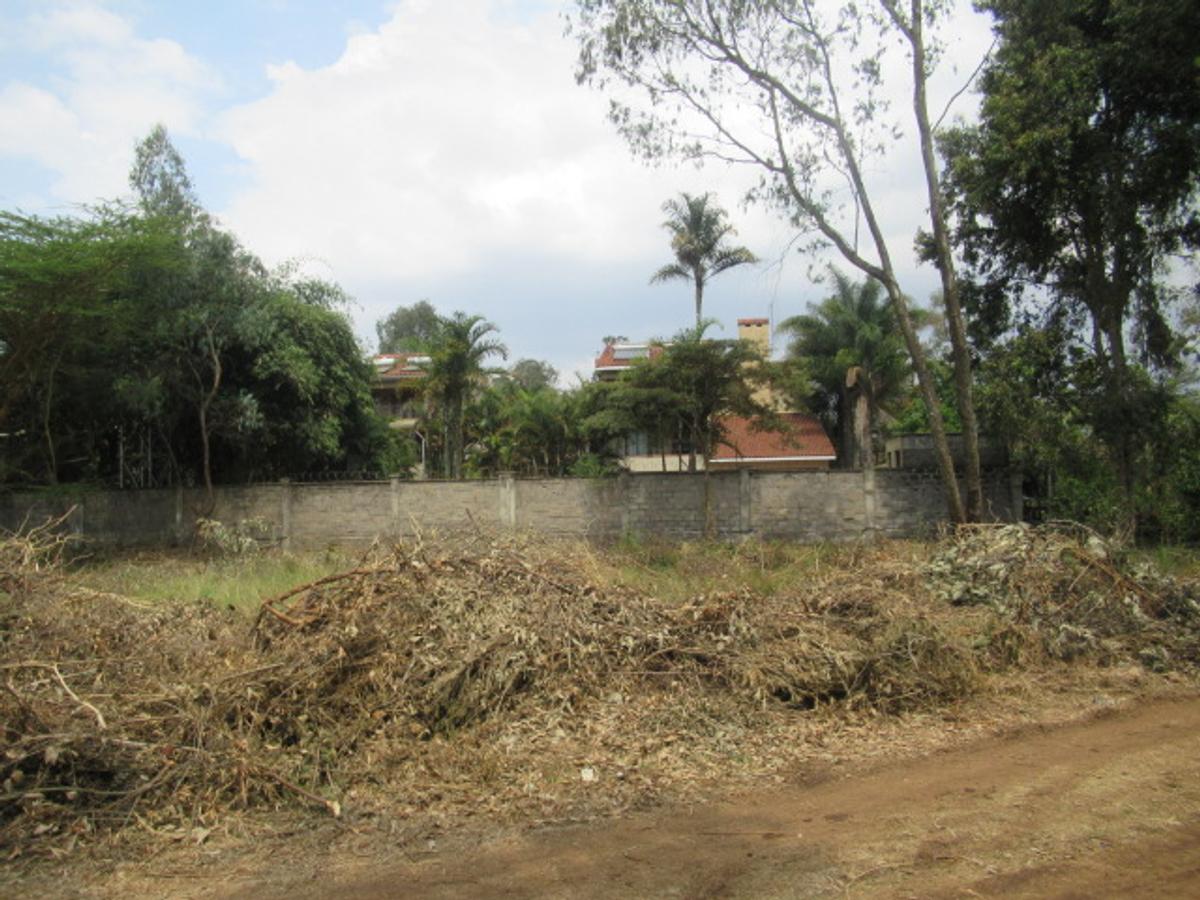 Residential Land at Masai West Rd - 11