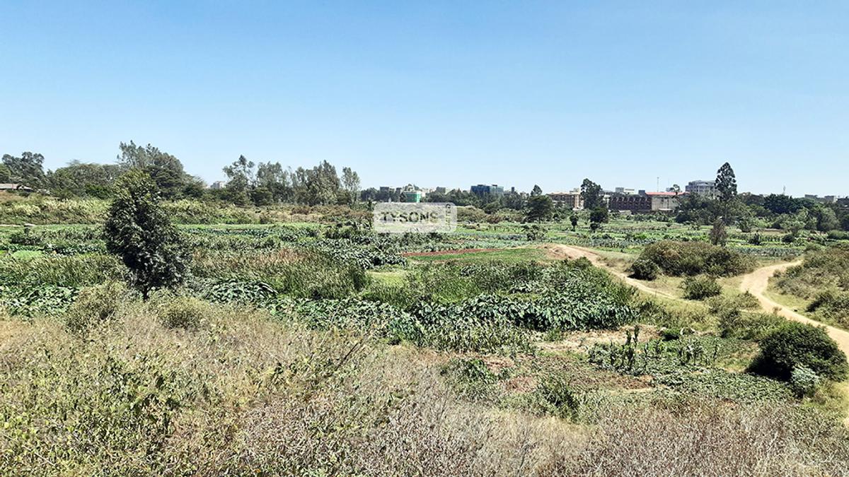 18.5 ac Commercial Land in Kasarani - 2