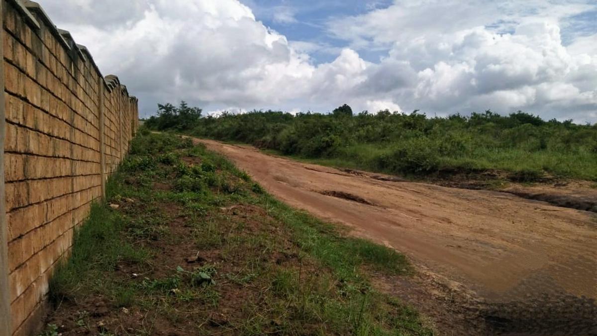 Land in Vipingo - 3