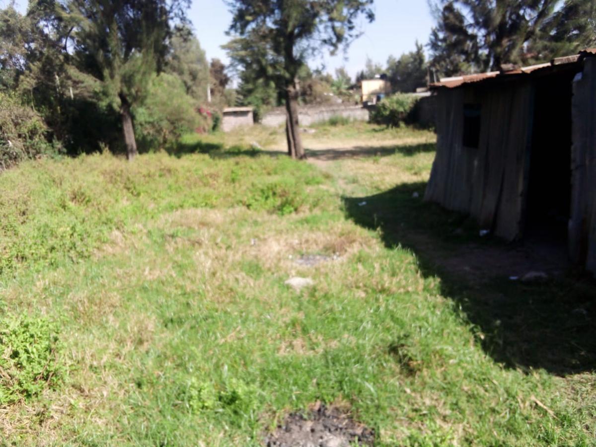 0.5 ac Land at Bulbul Ngong Nairobi Town - 8