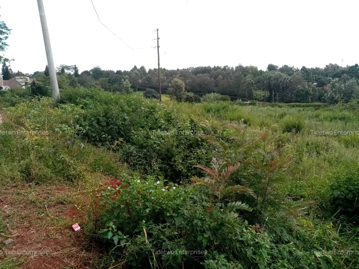 5 ac Land at Rhino Park Road - 2