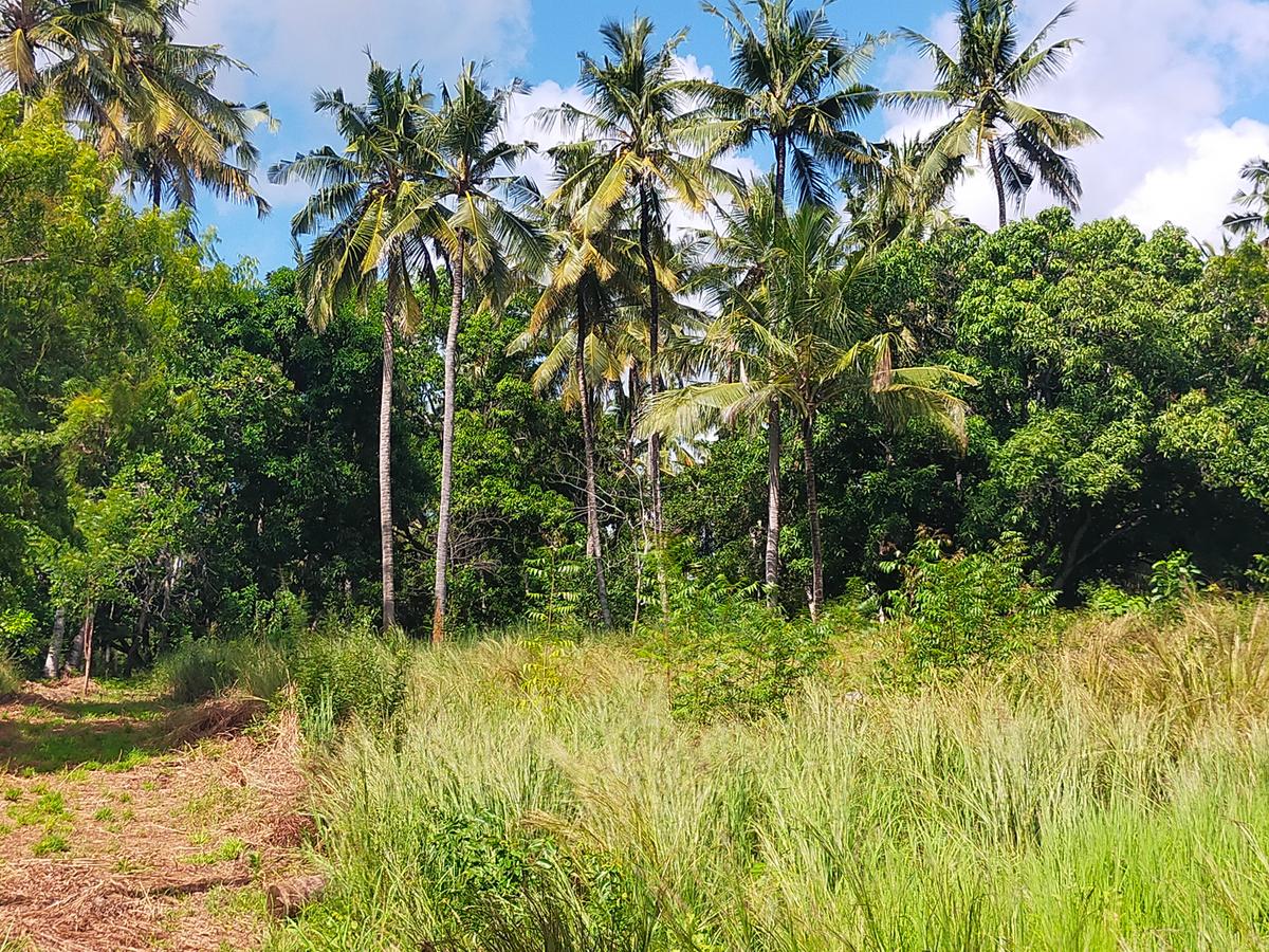 Land in Kilifi County - 10