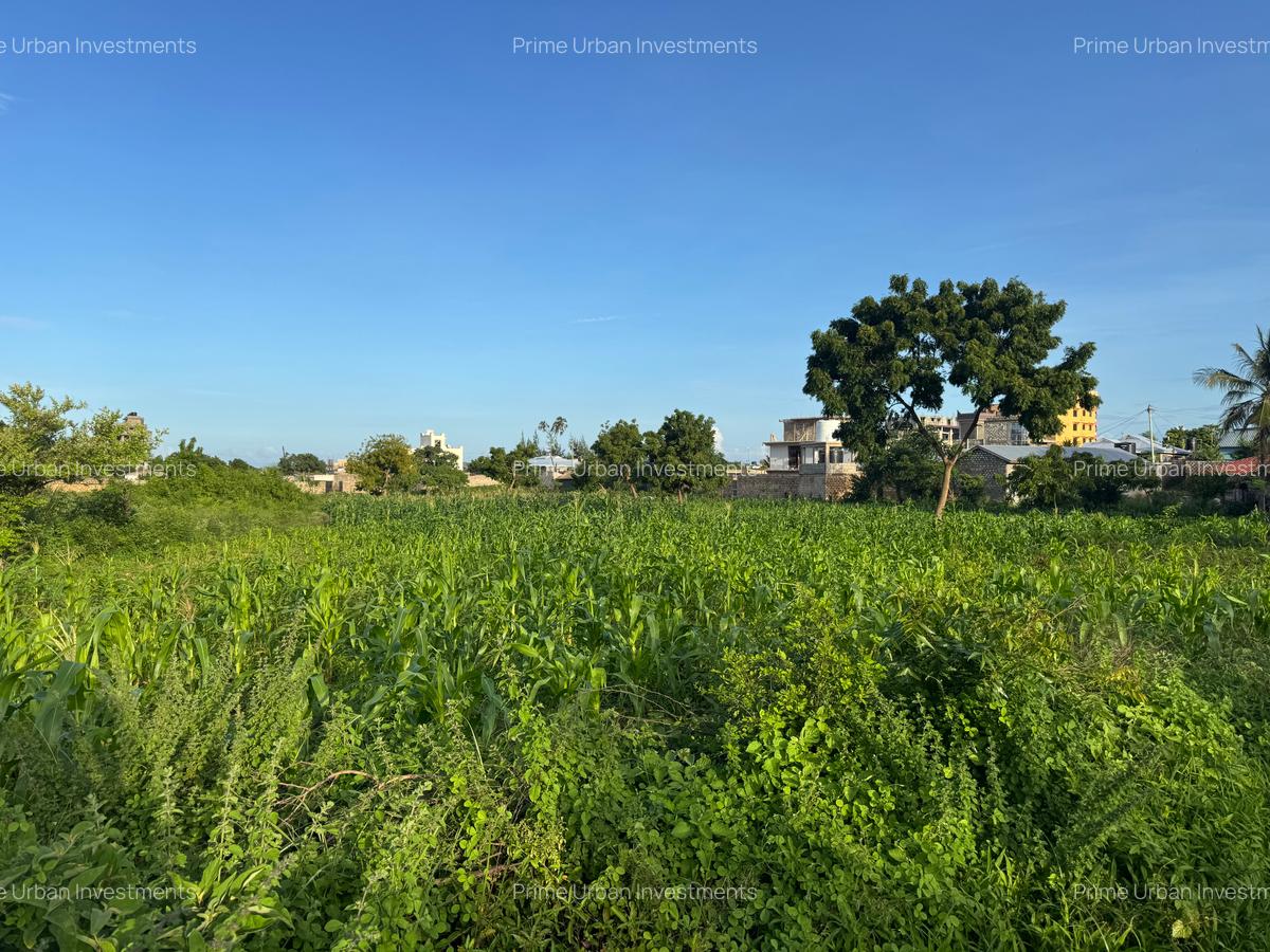 Land in Mtwapa - 11