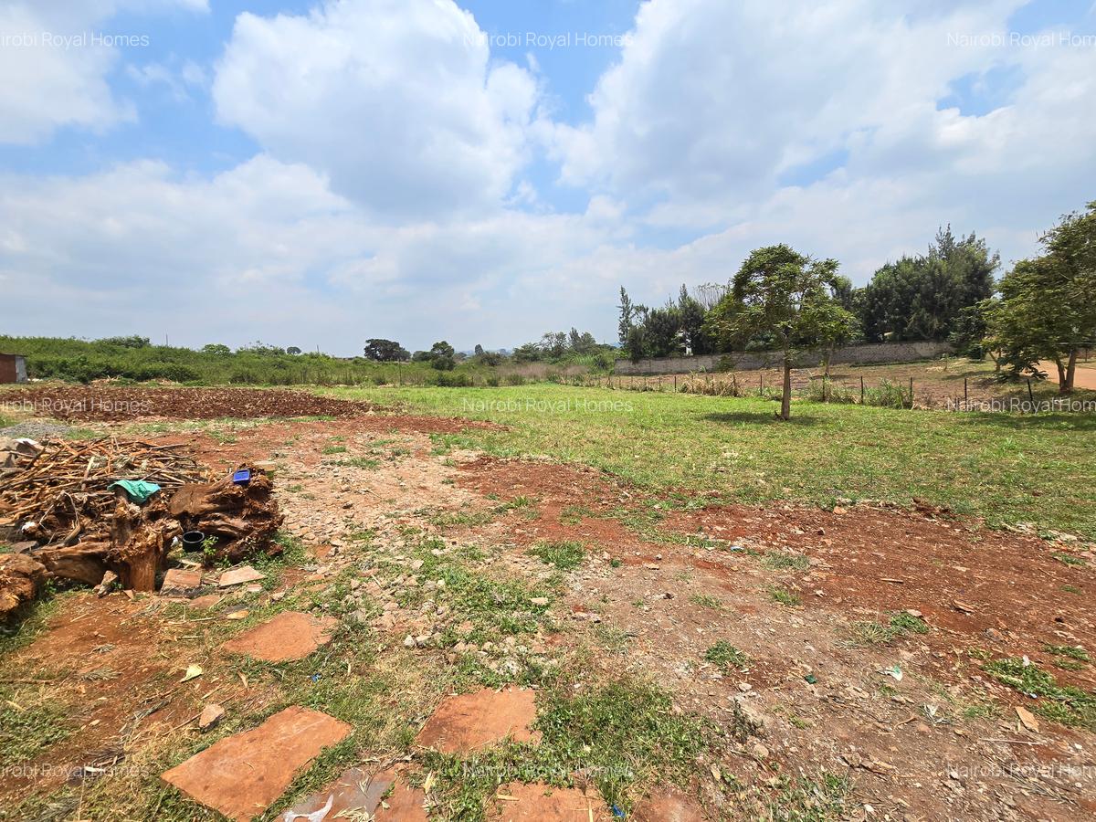 Residential Land at Runda Garden - 5