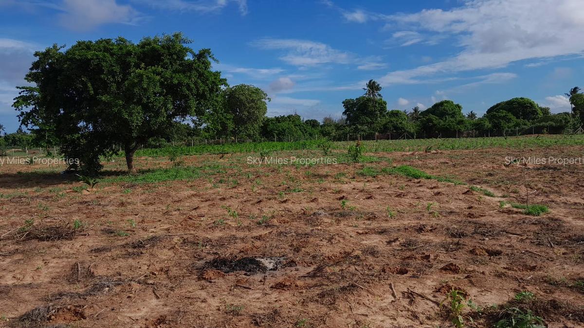 13 ac Land at Majaoni - 6