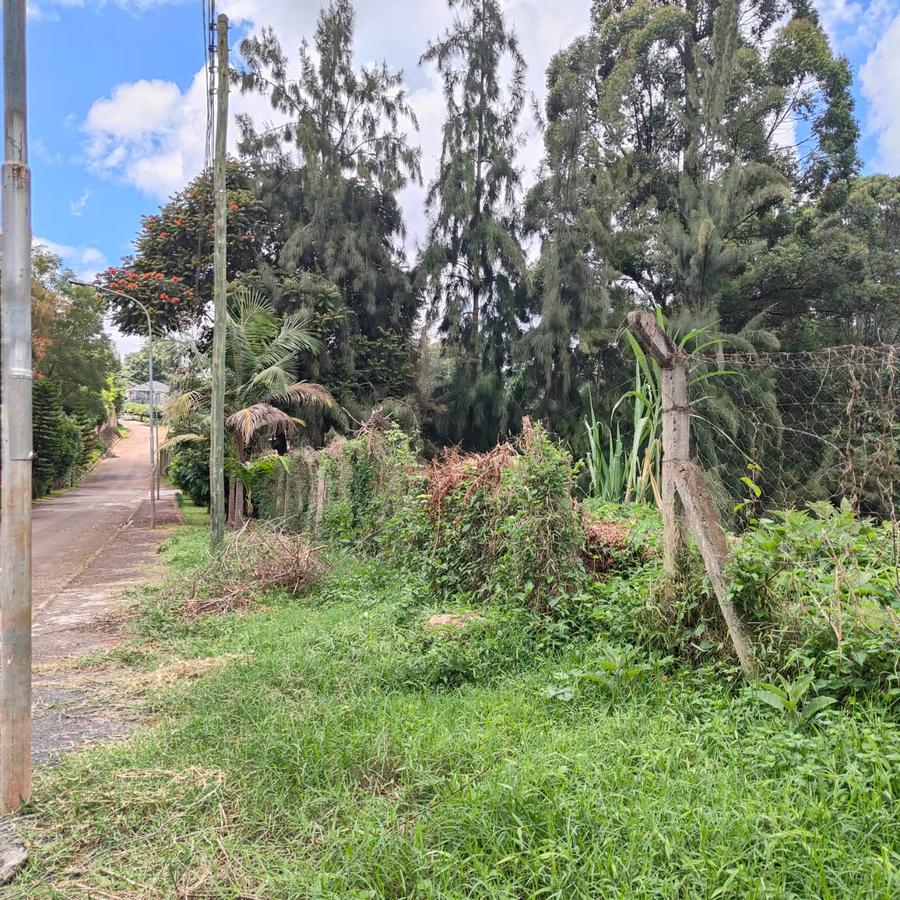 0.5 ac Land at Kitisuru Springs - 14