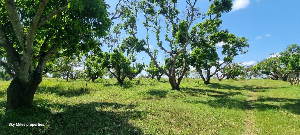 25 ac Land at Mtwapa - 16