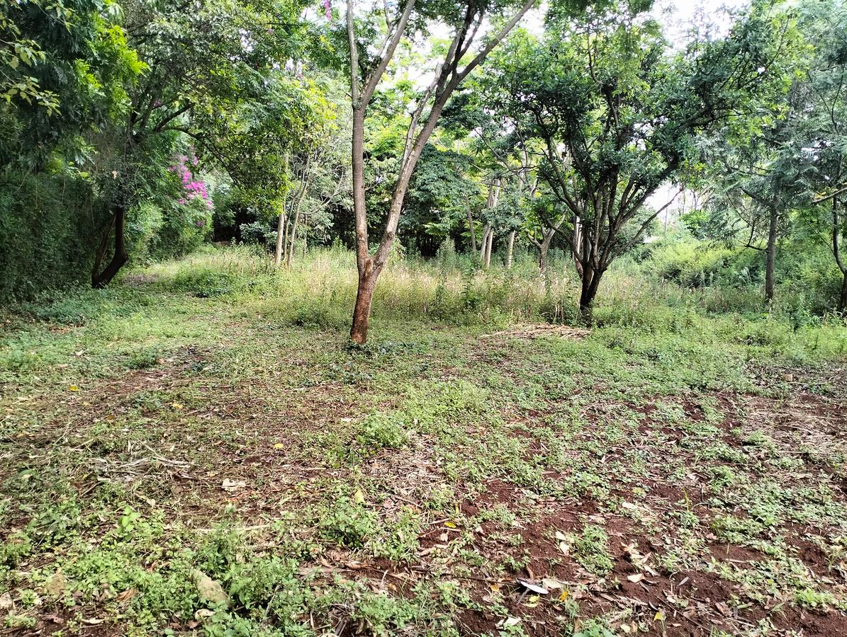 1 ac Land in Runda - 2