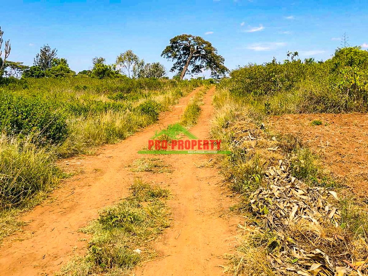 0.125 ac Land in Thika - 9