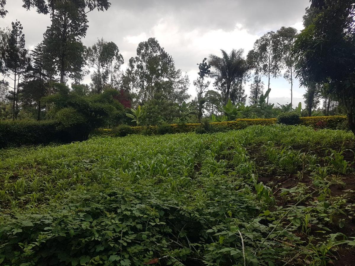 1.25 ac Land in Ngong - 1