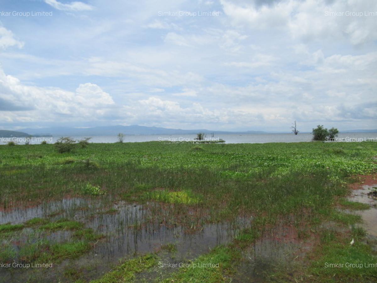 Land at Moi South L Ake Rd - 1