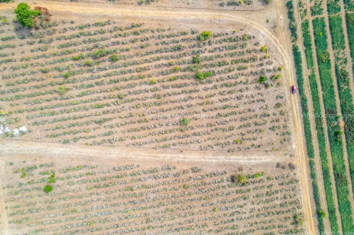 0.125 ac Land at Vipingo - 12