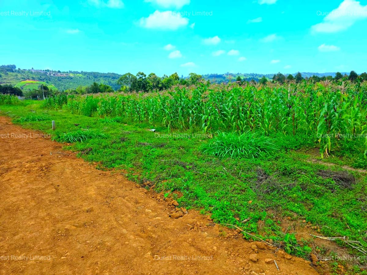 0.045 ha Land at Thigio - 12