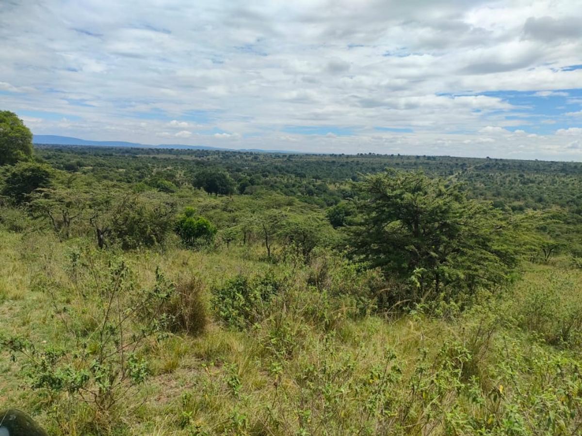 Land in Narok - 14