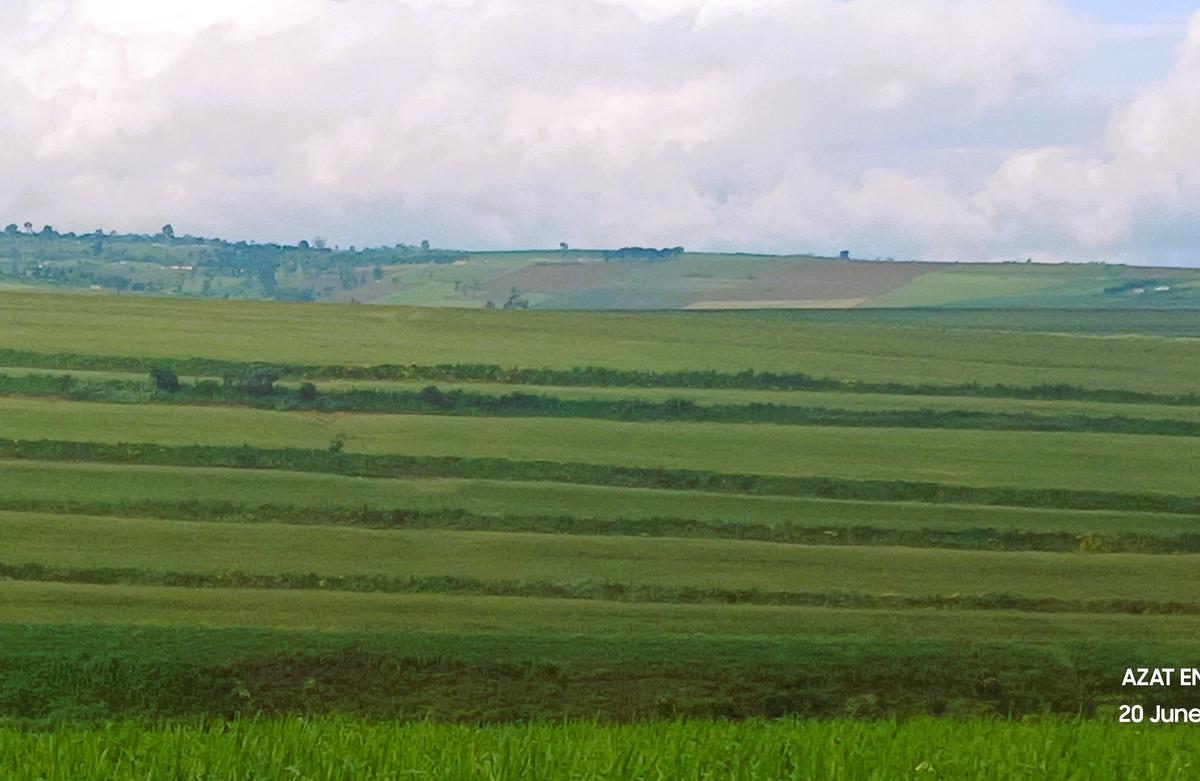 Land in Narok - 9