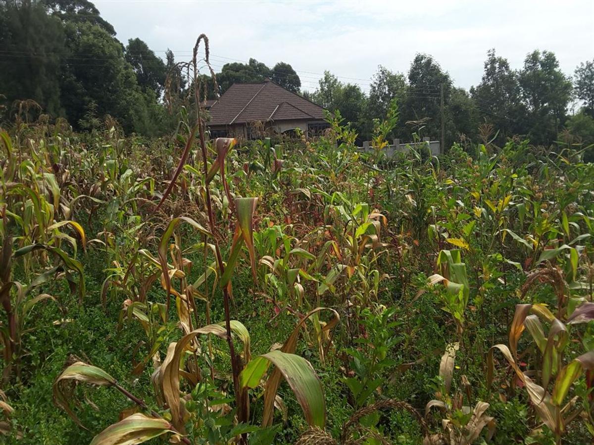 Land in Ngong - 9