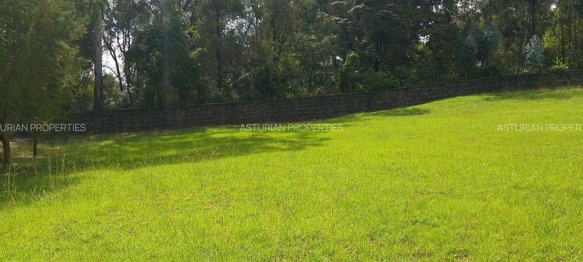 1 ac Land in Karen - 8
