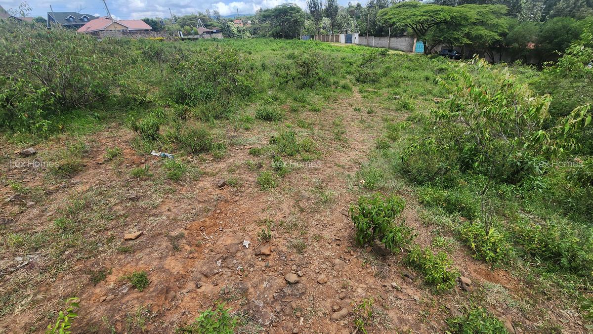 0.2 ha Commercial Land at Merisho Road - 1