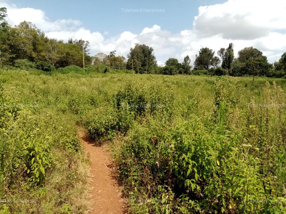 5 ac Land at Rhino Park Road - 4