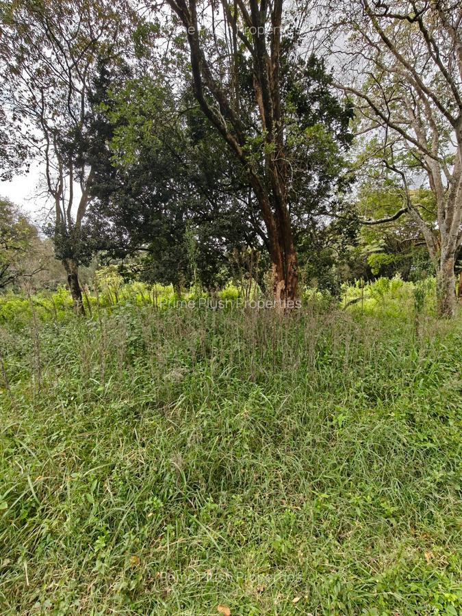 9 ac Land in Karen - 8
