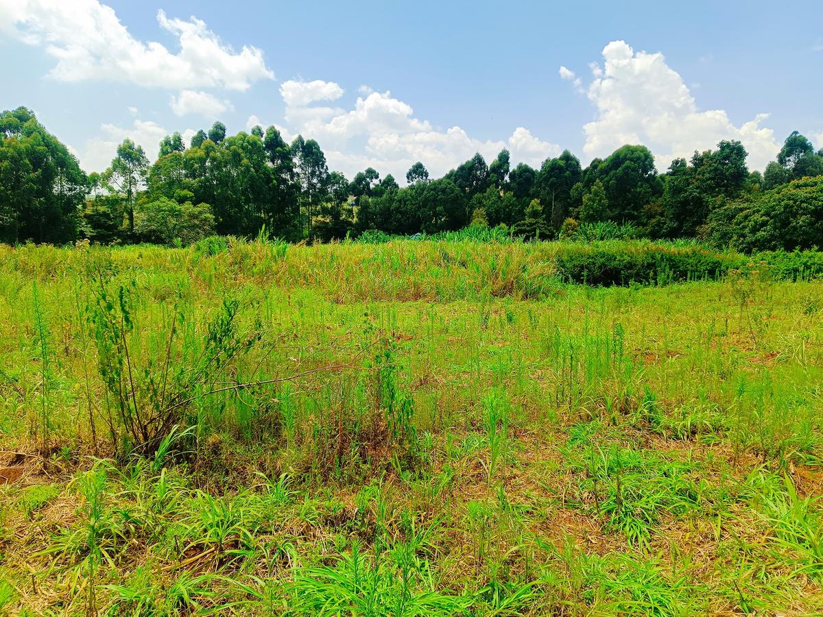 1,000 m² Residential Land at Riu-Nderi - 7